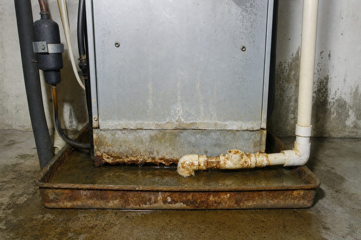 Corroded condensate line and a rusty overflow pan holding standing water